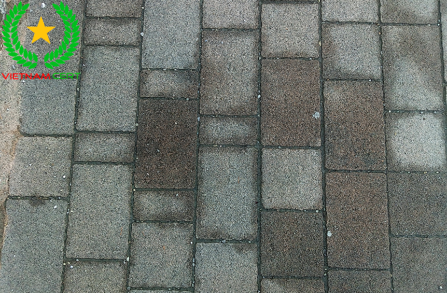 Doanh nghiệp nào cần chứng nhận hợp quy và công bố hợp quy gạch bê tông tự chèn ?