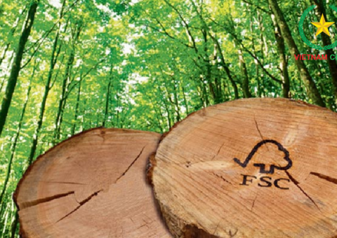 Lợi ích từ việc mua sàn gỗ được cấp chứng chỉ FSC