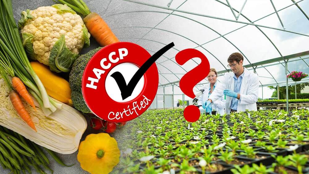 Tiêu chuẩn HACCP là gì?