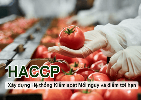 Doanh nghiệp nào cần làm chứng nhận HACCP
