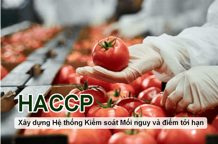 Doanh nghiệp nào cần làm chứng nhận HACCP