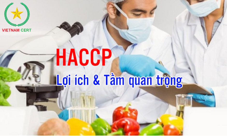 Vì sao nhiều doanh nghiệp vẫn gặp nhiều khó khăn khi áp dụng HACCP?